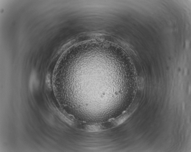 X0000084000238200702161140
