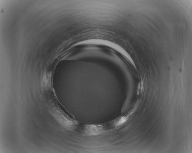X0000084000239200702161140
