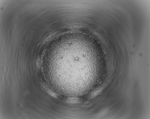 X0000084000240200702161140