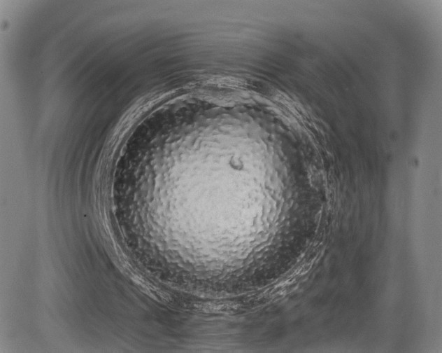 X0000084000241200702161139