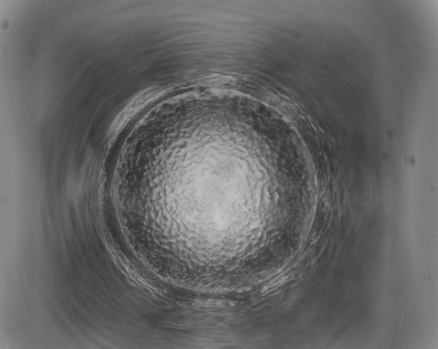 X0000084000242200702161139