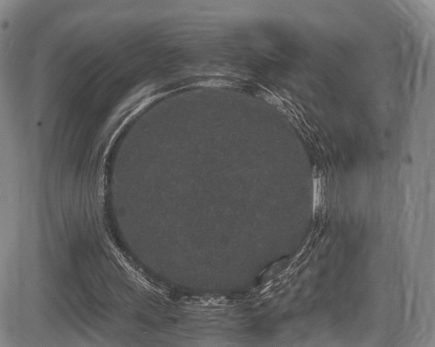 X0000084000243200702161139