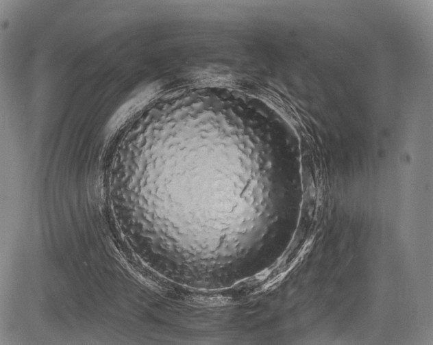 X0000084000245200702161139