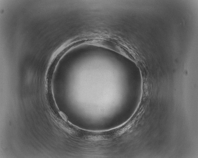 X0000084000246200702161140