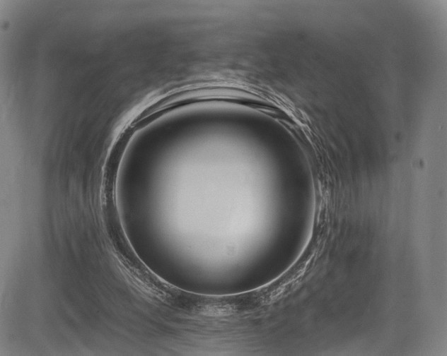 X0000084000248200702161140