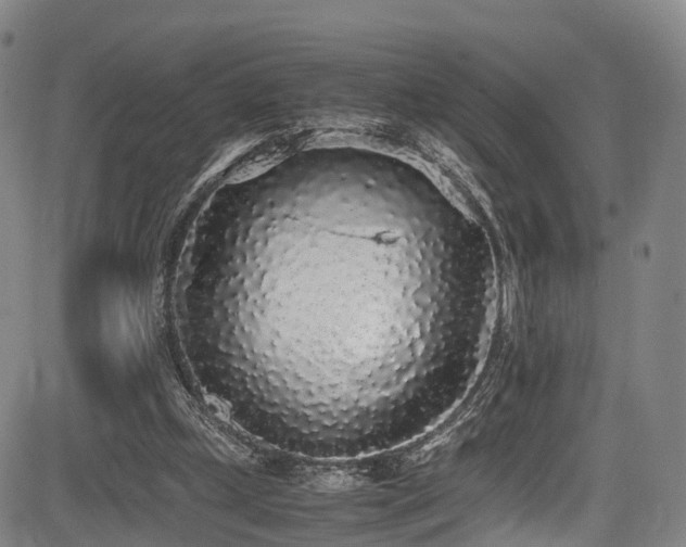 X0000084000249200702161140