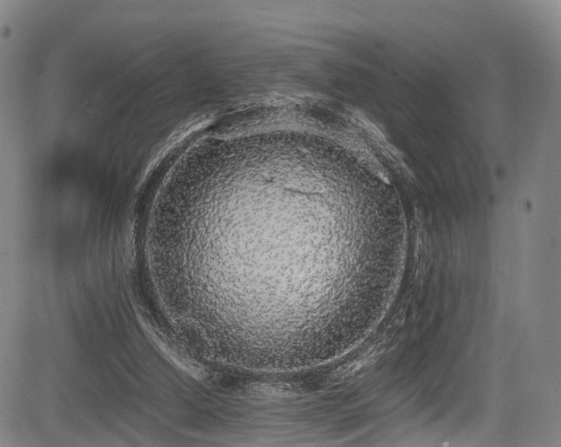 X0000084000250200702161140