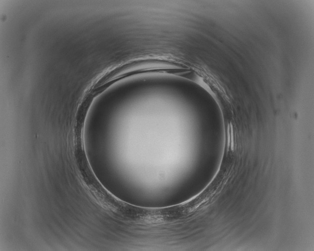 X0000084000252200702161140