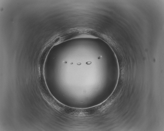 X0000084000254200702161140