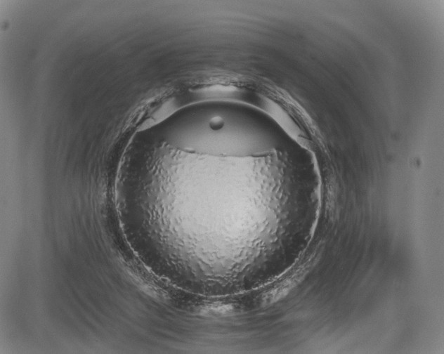 X0000084000257200702161140