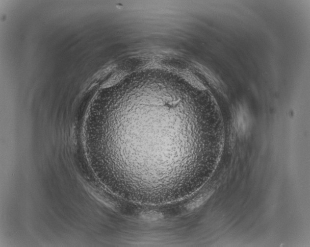 X0000084000258200702161140