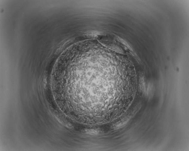 X0000084000259200702161140