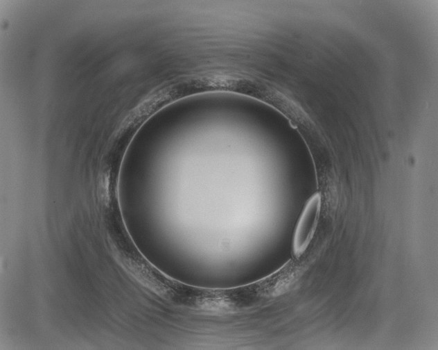 X0000084000262200702161140