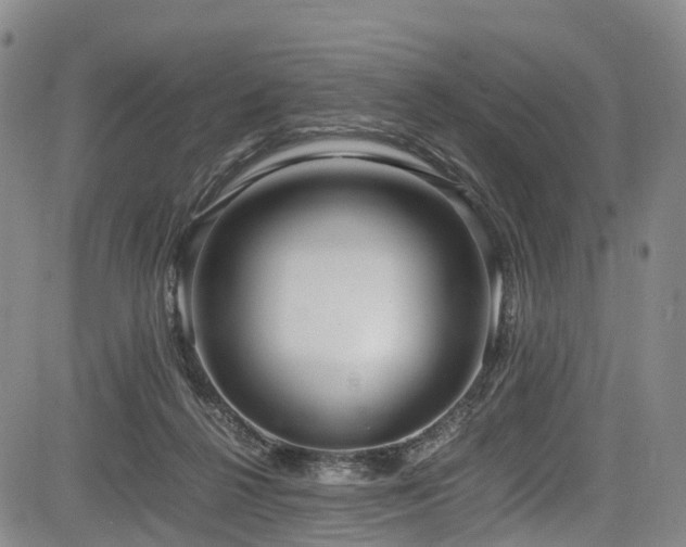 X0000084000264200702161140