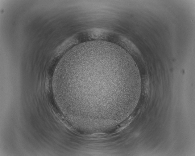 X0000084000266200702161140