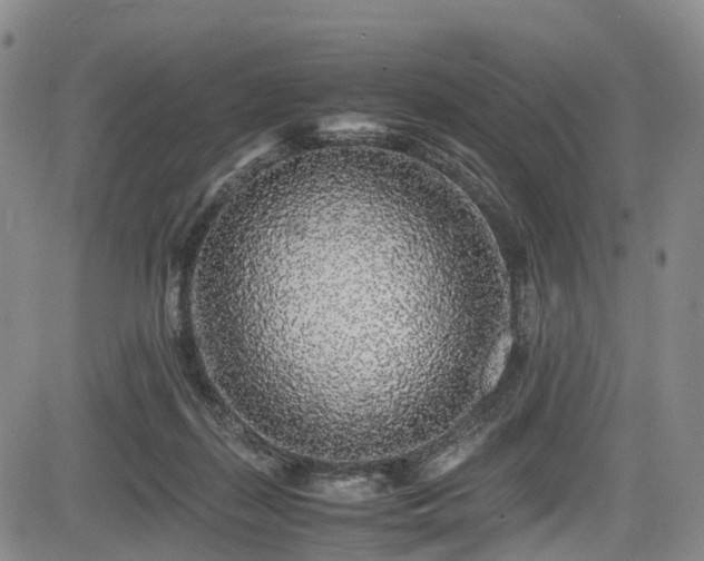 X0000084000267200702161140