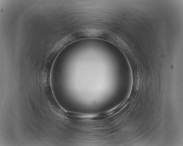 X0000084000268200702161140