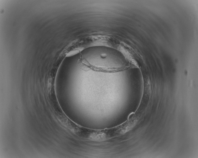 X0000084000271200702161140