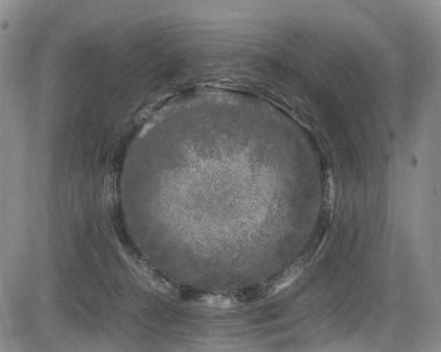 X0000084000272200702161140