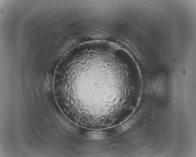 X0000084000273200702161140