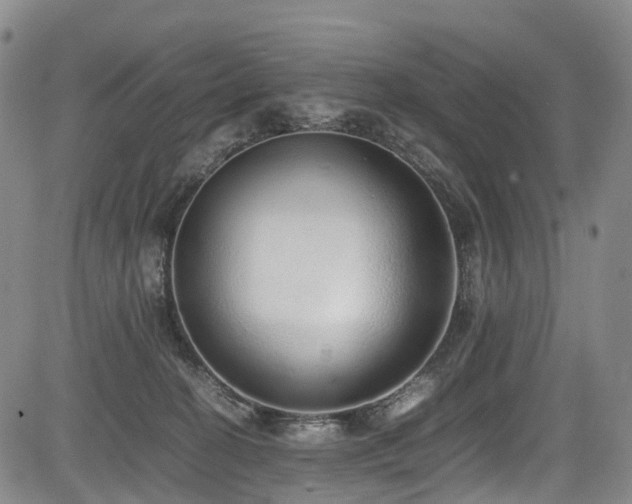 X0000084000274200702161140