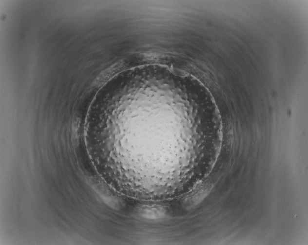 X0000084000275200702161140