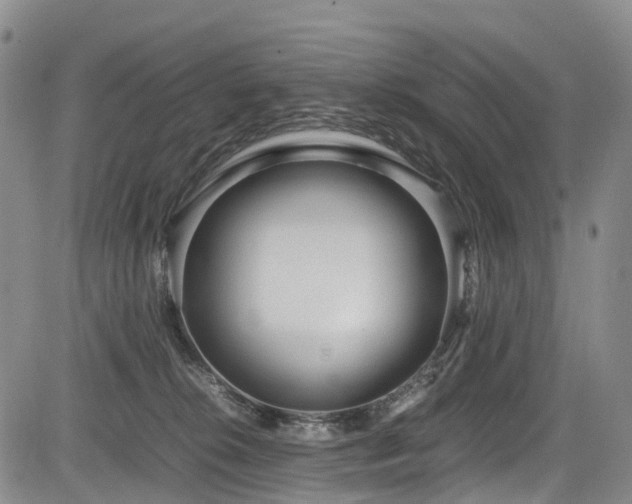 X0000084000276200702161140