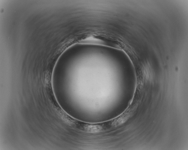X0000084000277200702161140