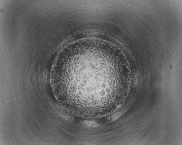 X0000084000283200702161140