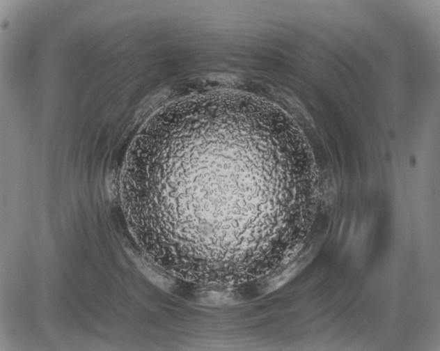 X0000084000285200702161140