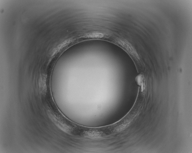 X0000084000300200702161139