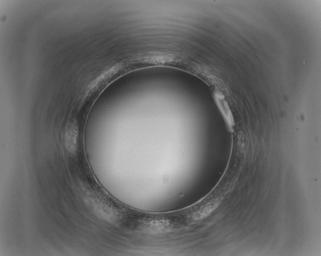 X0000084000304200702161139