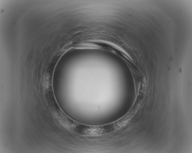 X0000084000323200702161139