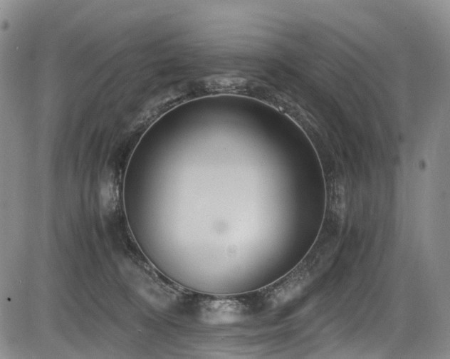 X0000084000324200702161139
