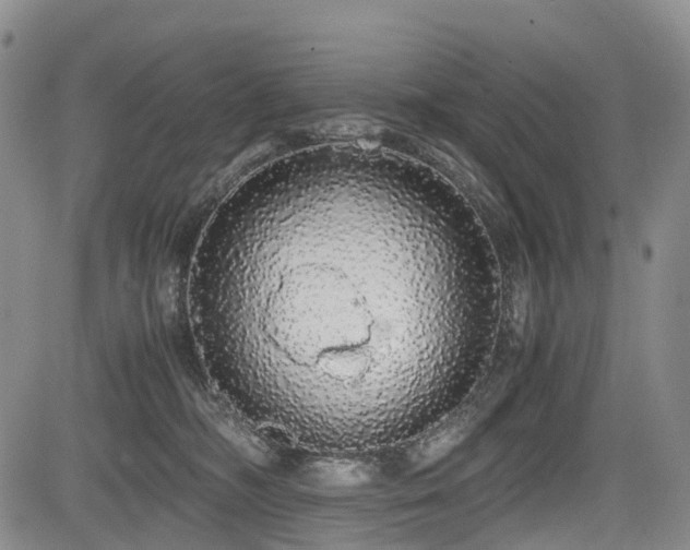 X0000084000326200702161139