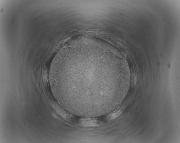 X0000084000331200702161139