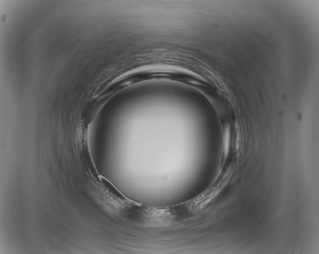 X0000084000333200702161139