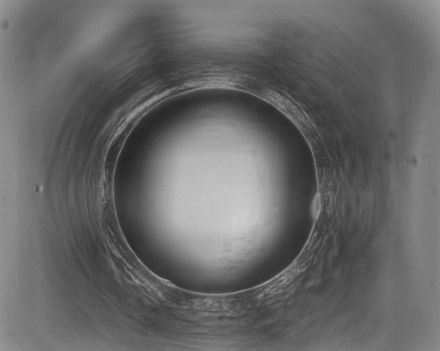 X0000084000338200702161138
