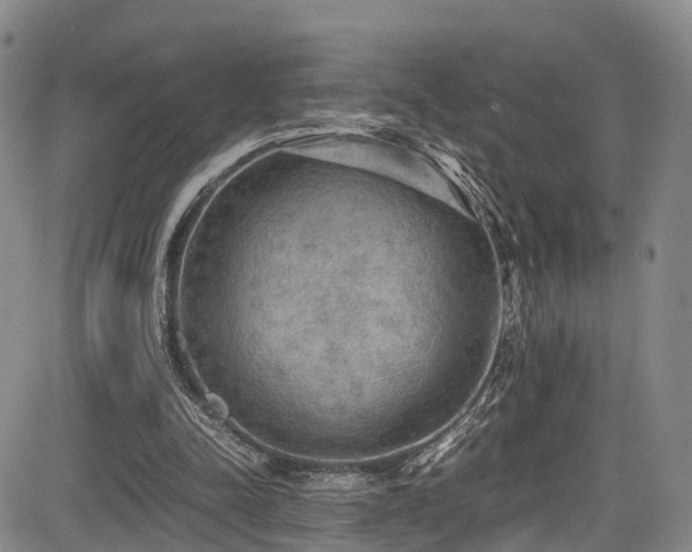 X0000084000342200702161138
