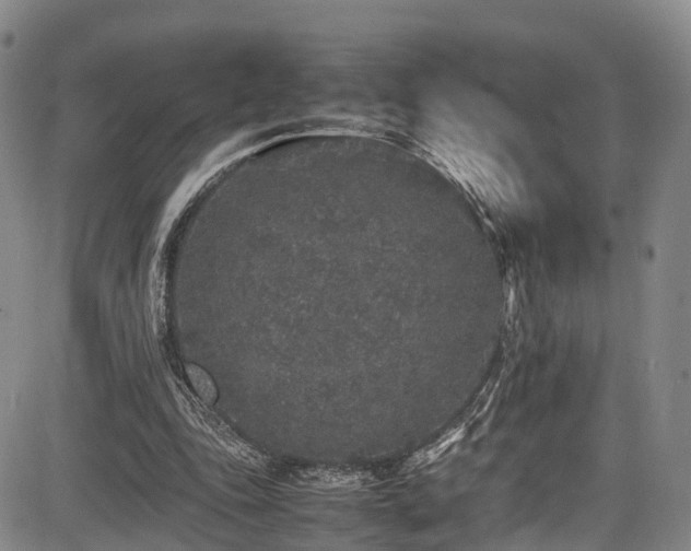 X0000084000343200702161138