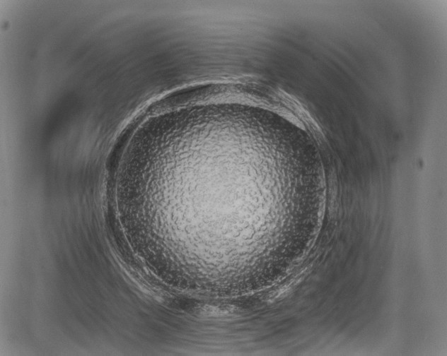 X0000084000346200702161138