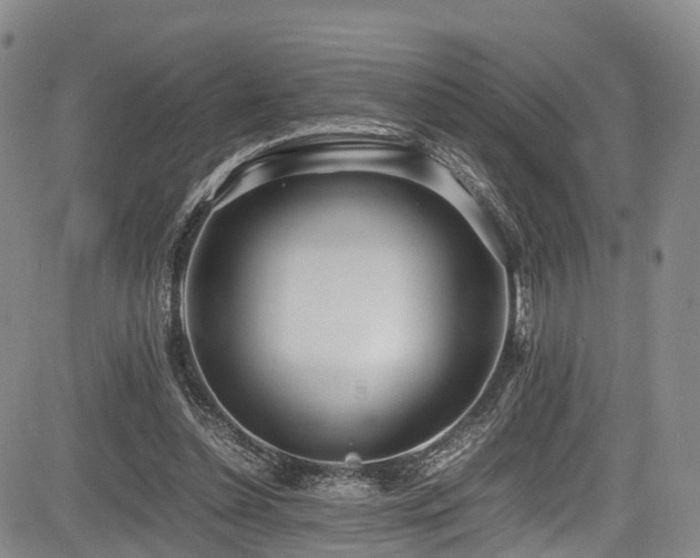 X0000084000348200702161138