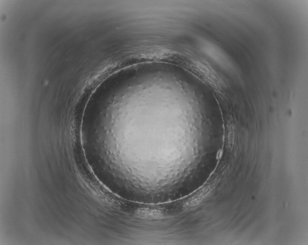 X0000084000354200702161138
