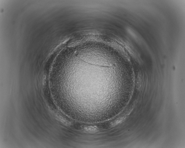 X0000084000355200702161138