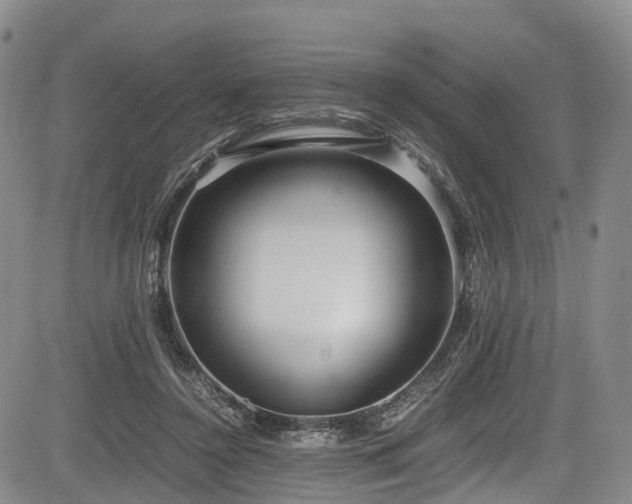 X0000084000356200702161138