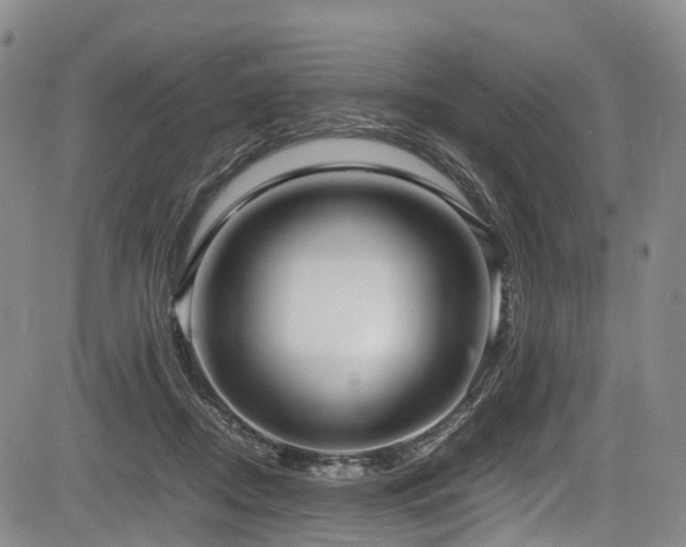 X0000084000362200702161138