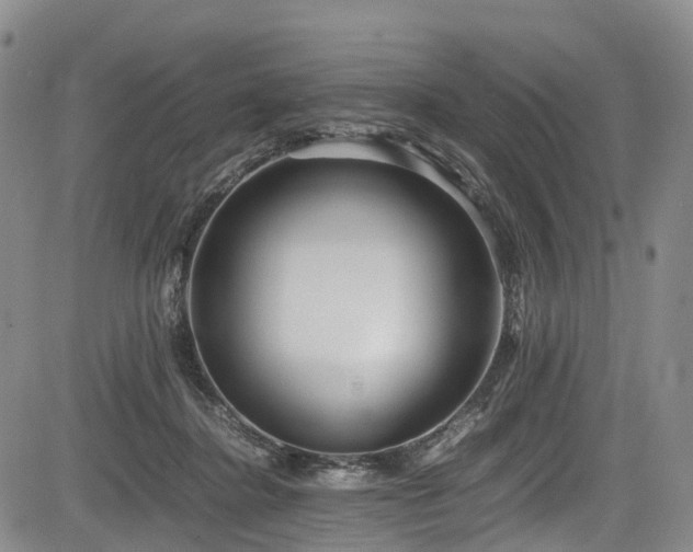 X0000084000364200702161138
