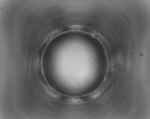 X0000084000379200702161139