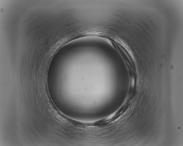 X0000084000385200702161138