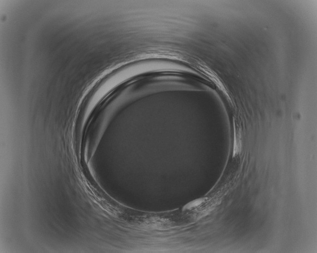 X0000084000387200702161138